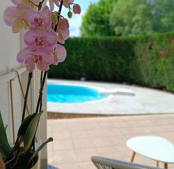 פנסיון Picnic Room And Pool