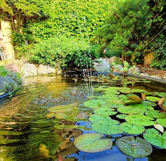פנסיון Picnic Room And Pool