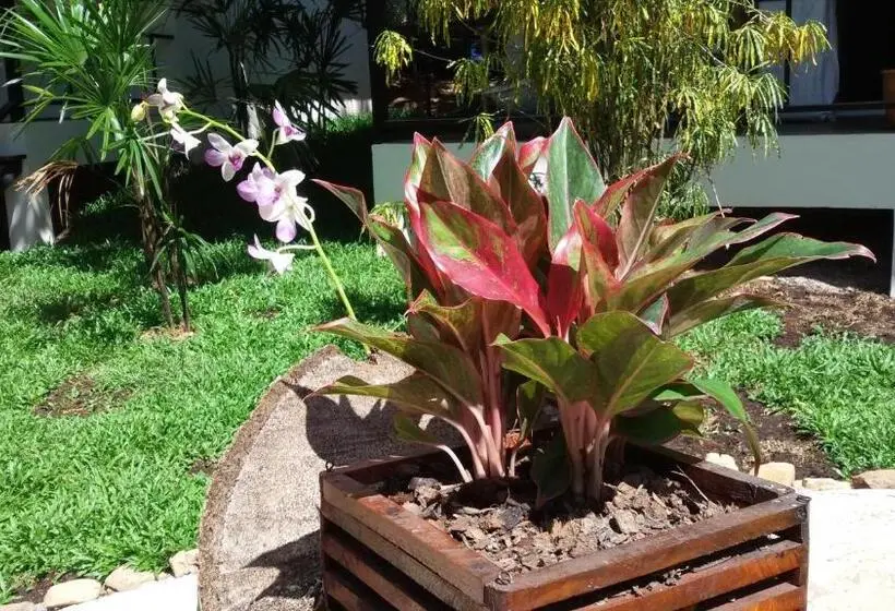 ペンション Lucky Gecko Garden