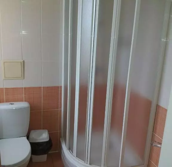 پانسیون гостинний двір ліснови