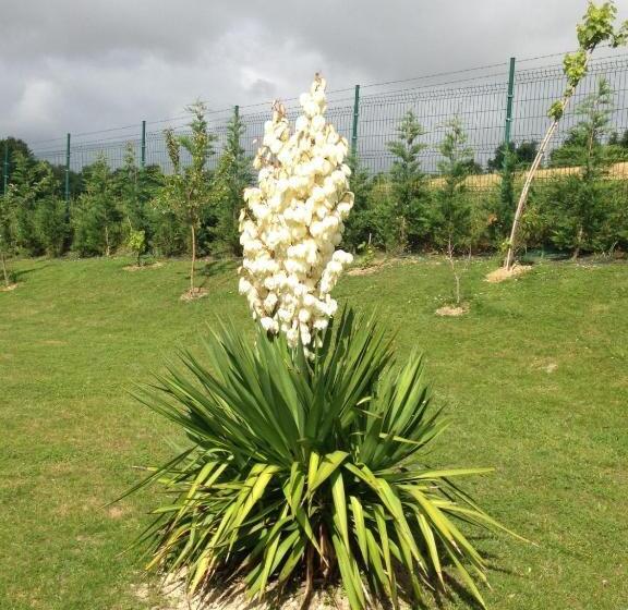 بنسيون Villa Argomaniz