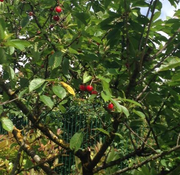 بنسيون Villa Argomaniz