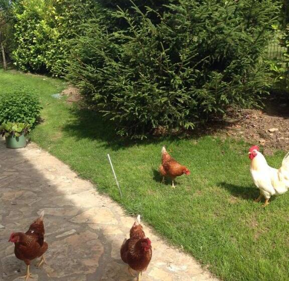 بنسيون Villa Argomaniz