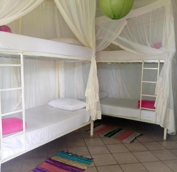 هاستل Fawlty Towers Accommodation & Activities