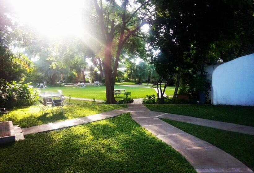 هاستل Fawlty Towers Accommodation & Activities