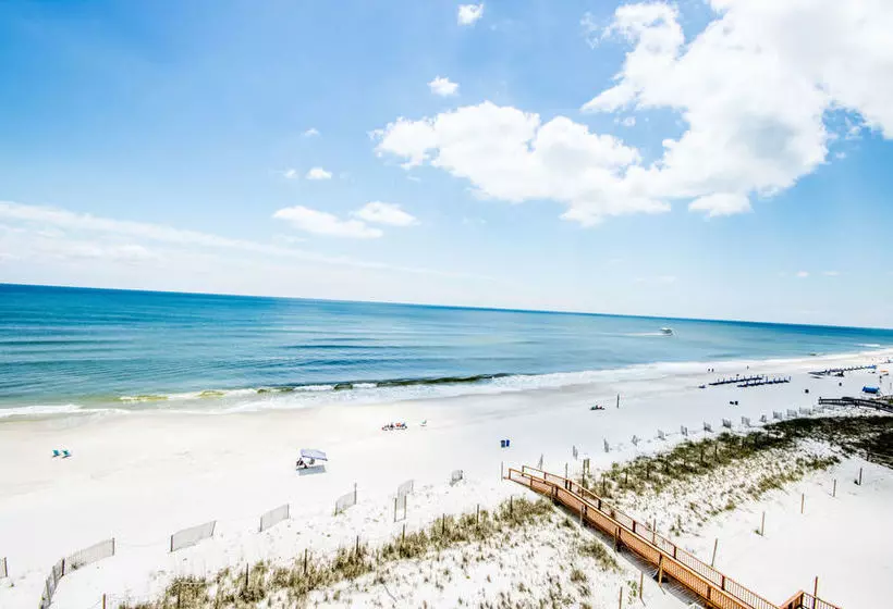 Beach Front #203
