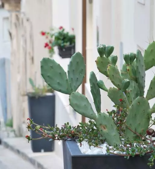 هتل A Casa Di Grazia