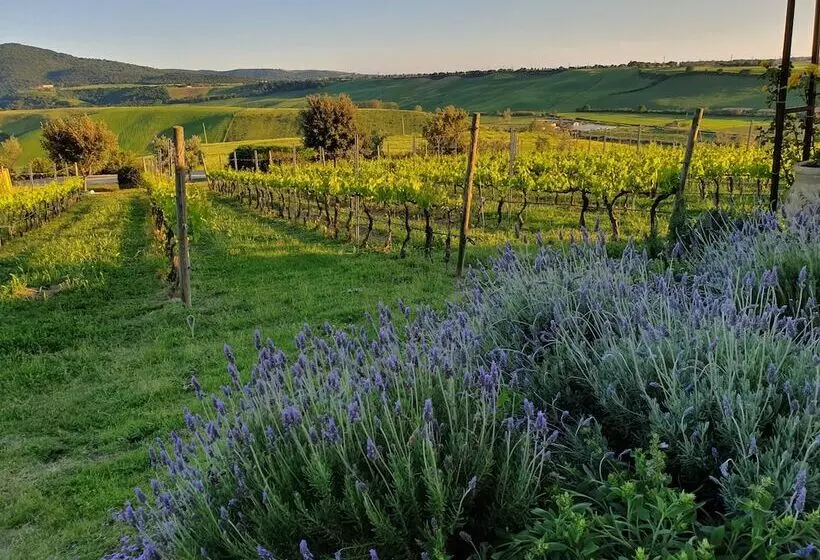 ホテル Casale Poggio Nebbia