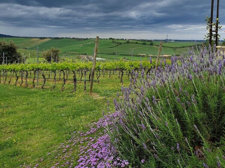Hotelli Casale Poggio Nebbia