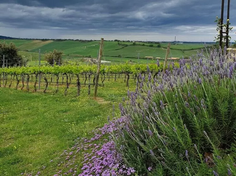 ホテル Casale Poggio Nebbia