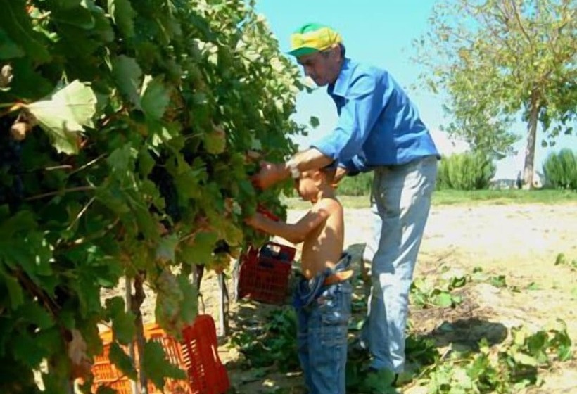 Hotelli Casale Poggio Nebbia