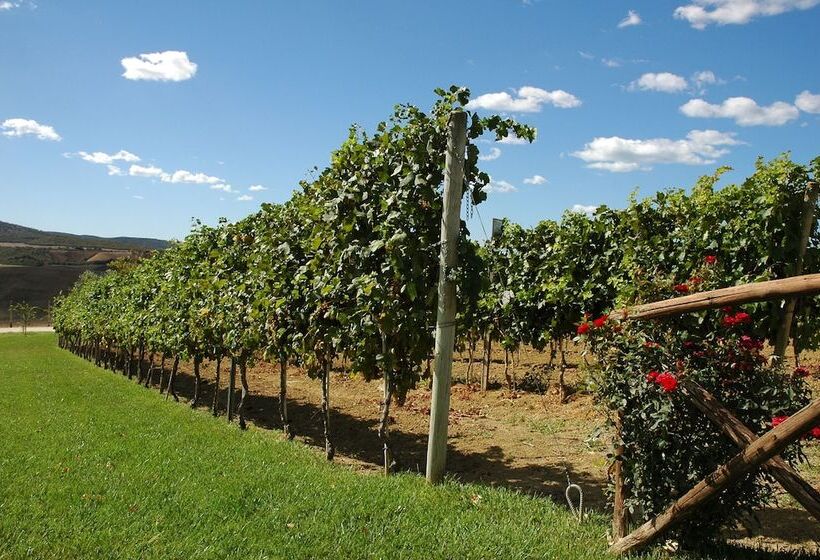 Hotelli Casale Poggio Nebbia