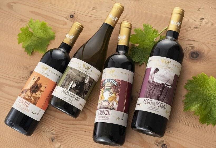 Hotelli Casale Poggio Nebbia