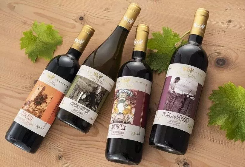 ホテル Casale Poggio Nebbia