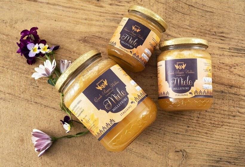 Hotelli Casale Poggio Nebbia