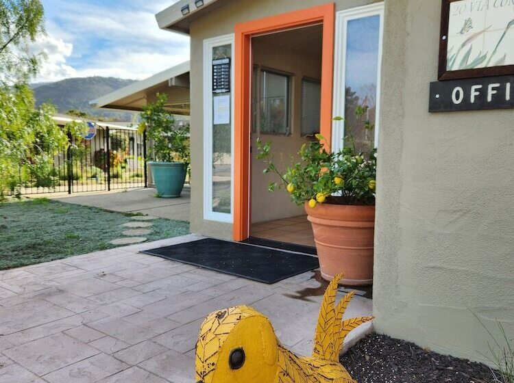 בית מלון כפרי Contenta Inn