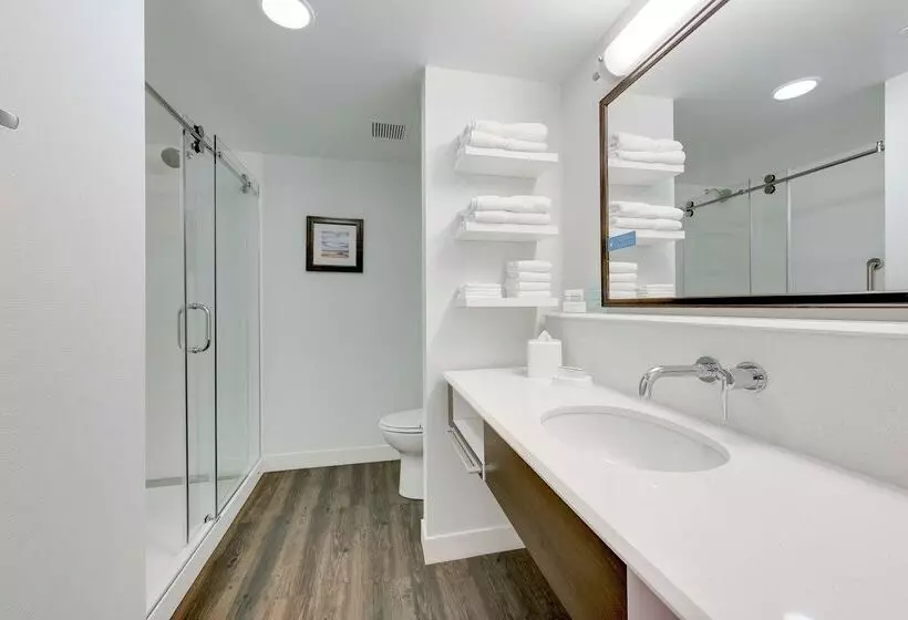 ホテル Hampton Inn & Suites North Houston Spring