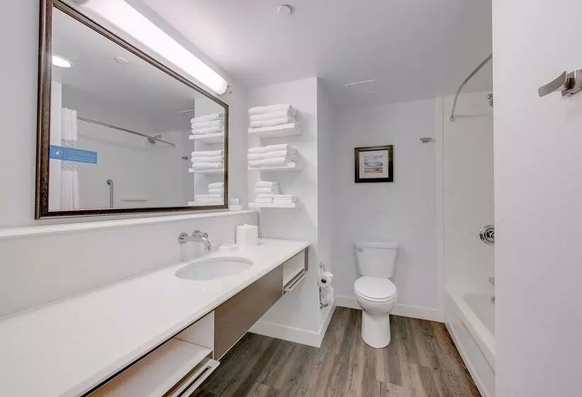 ホテル Hampton Inn & Suites North Houston Spring