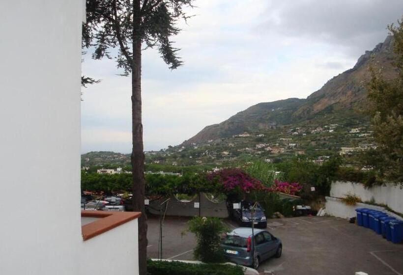 호텔 Ischia Uno Residence