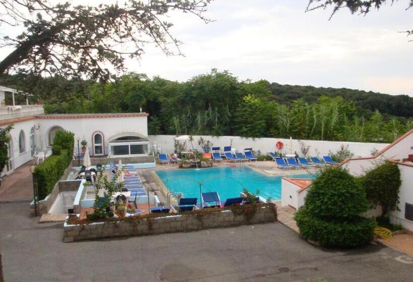 호텔 Ischia Uno Residence