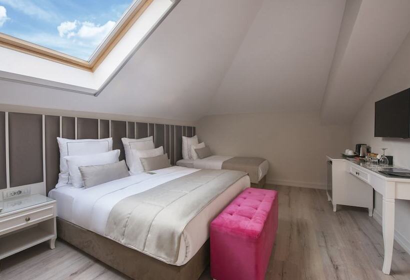 Le Petit Palace Hotel   Special Category