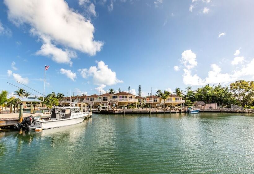 The Reef At Marathon