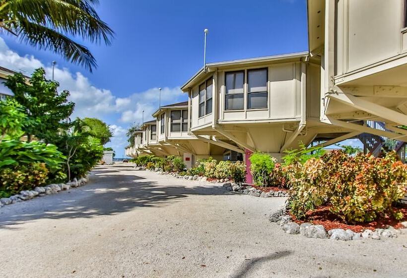 The Reef At Marathon