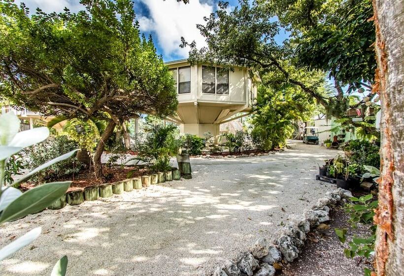 The Reef At Marathon