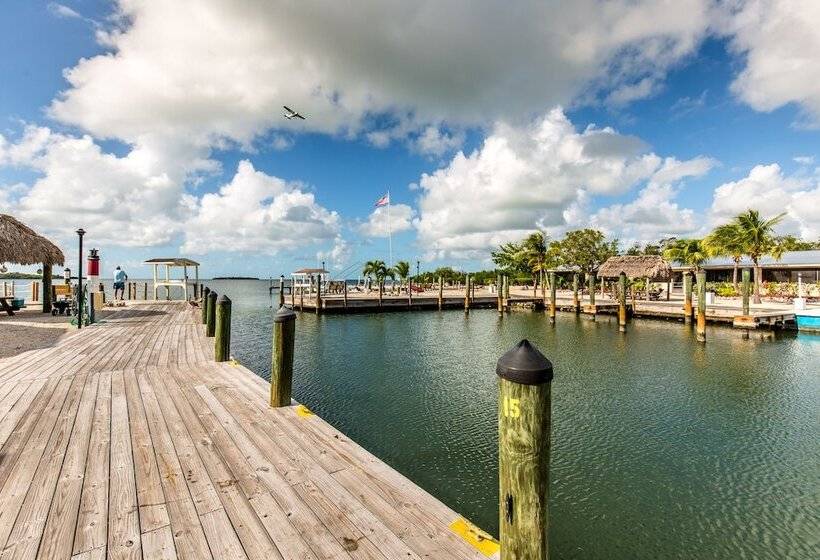 The Reef At Marathon