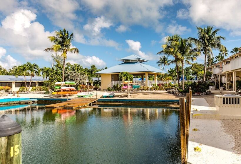 The Reef At Marathon