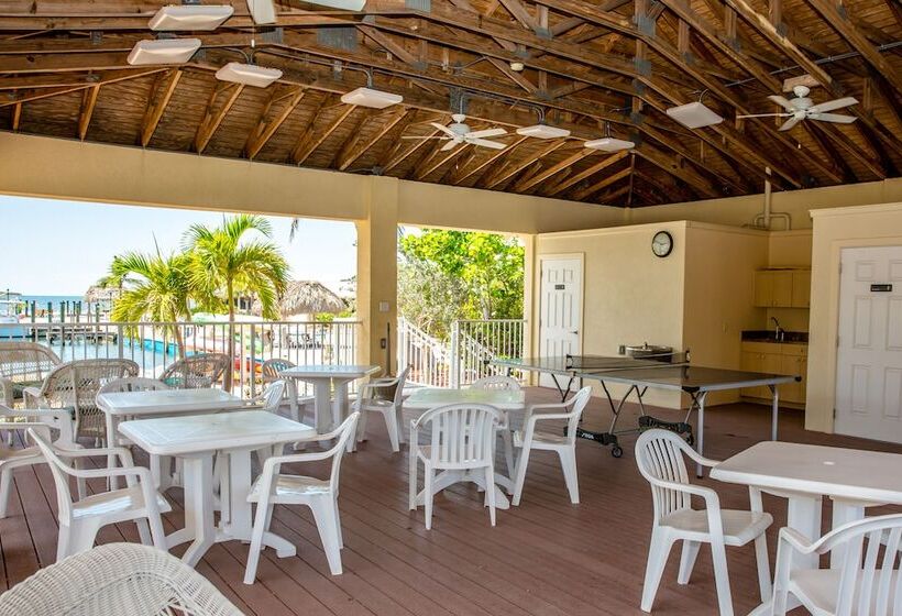 The Reef At Marathon