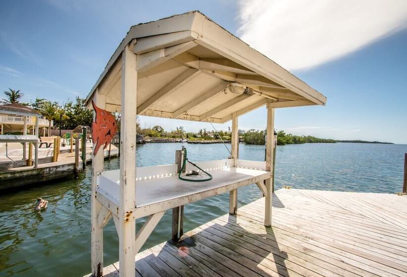 The Reef At Marathon