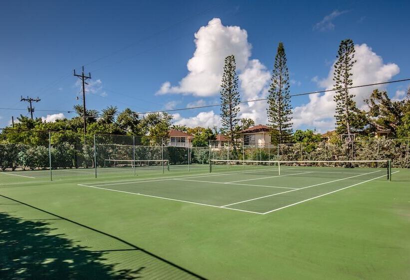 The Reef At Marathon