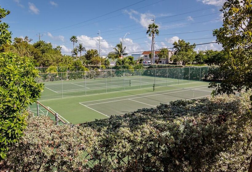 The Reef At Marathon