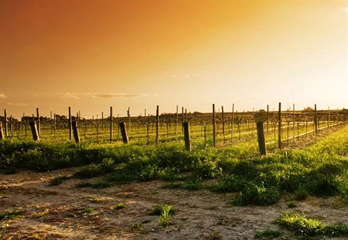 The Reserve Barossa Valley