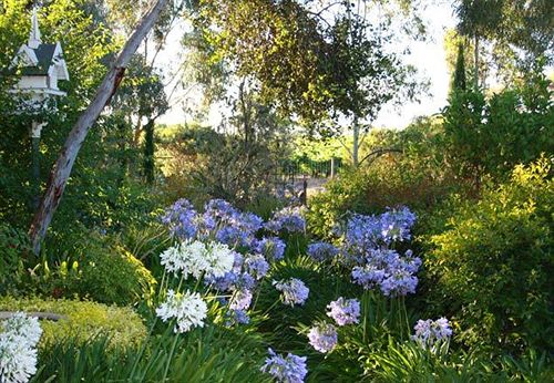 The Reserve Barossa Valley