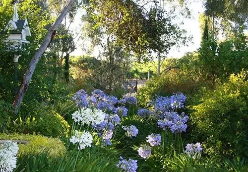 The Reserve Barossa Valley