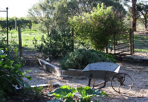 The Reserve Barossa Valley