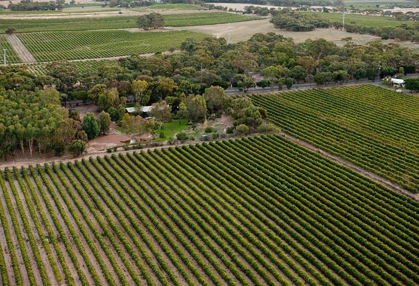 The Reserve Barossa Valley