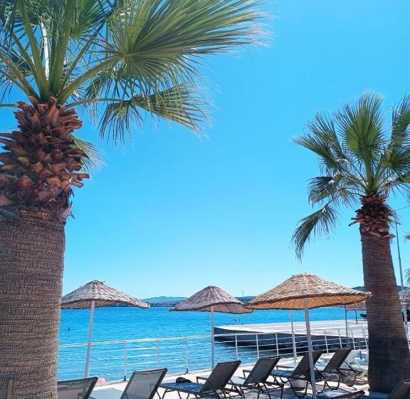 Bed and Breakfast Kalipso Motel