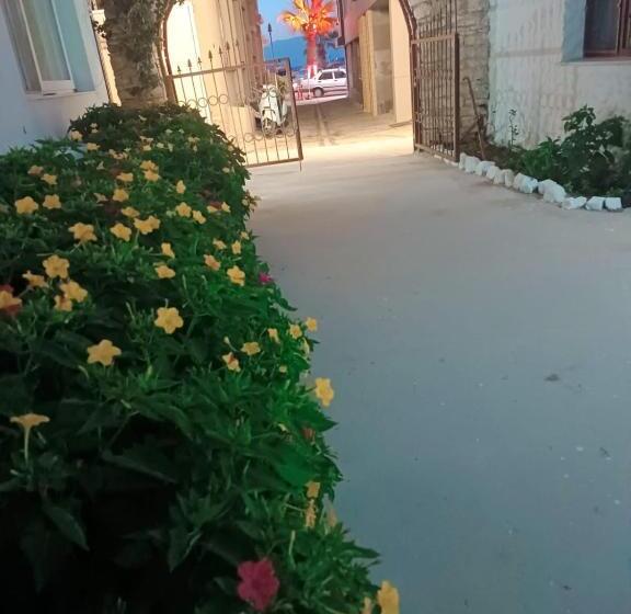 Bed and Breakfast Kalipso Motel