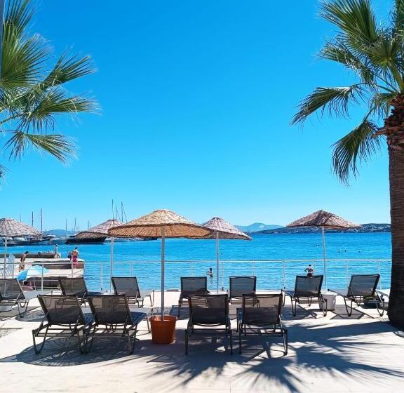 Bed and Breakfast Kalipso Motel