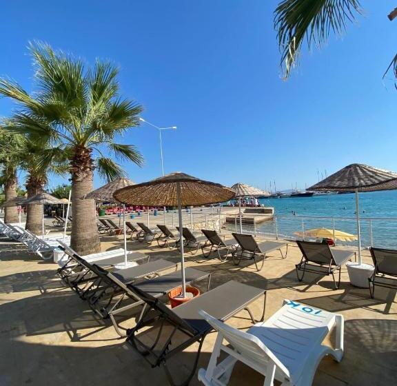 Bed and Breakfast Kalipso Motel