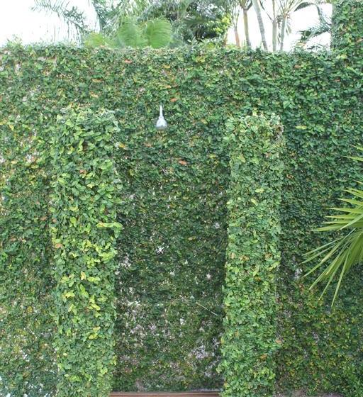 Bed and Breakfast Casa Mia Casa De Férias