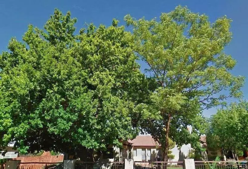 Aamiaismajoitus (B&B) Oak Rest Guesthouse