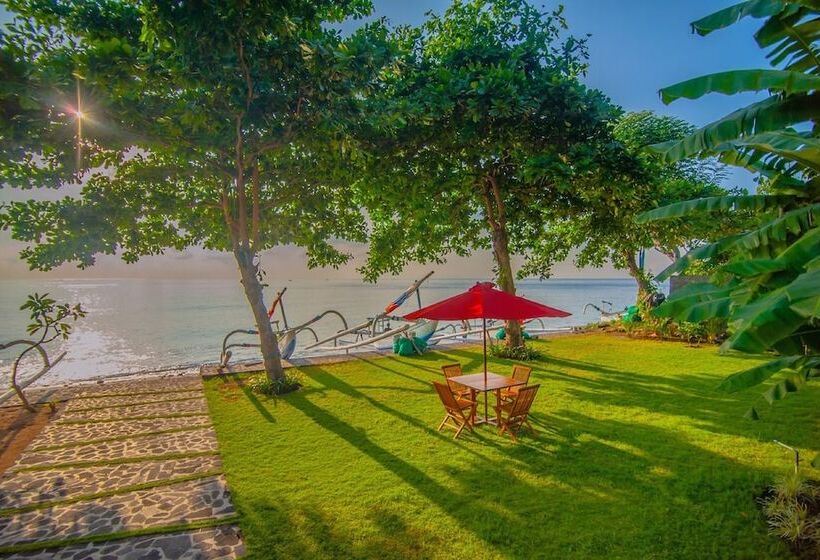 Отель Amed Dream Ibus Beach Club