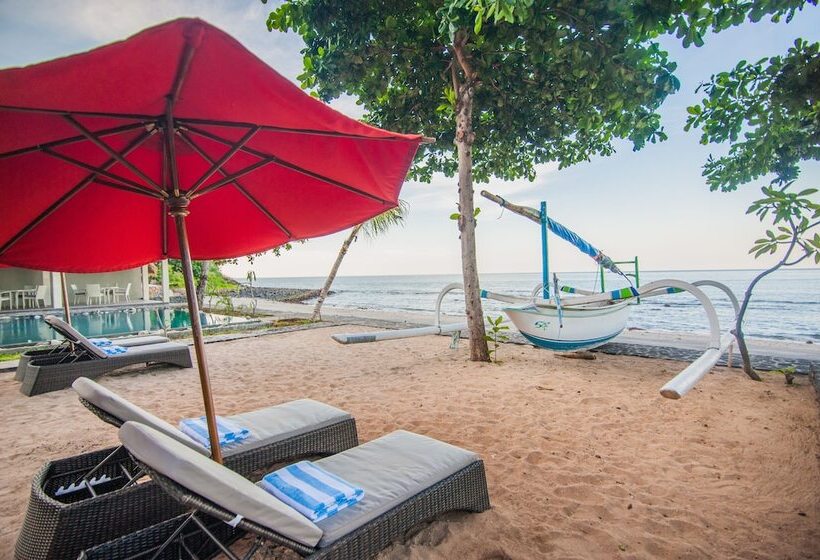 Отель Amed Dream Ibus Beach Club