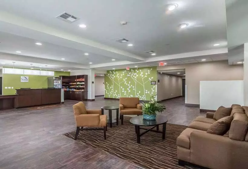 ホテル Sleep Inn & Suites College Station Near University