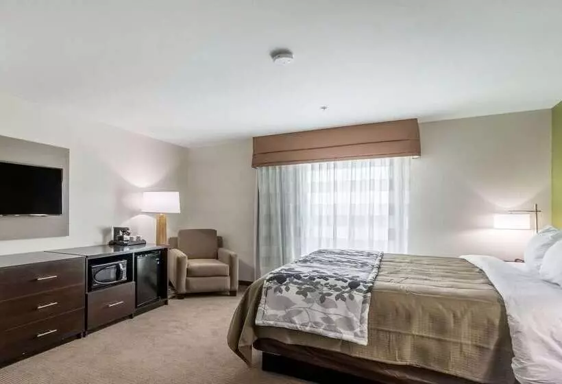 ホテル Sleep Inn & Suites College Station Near University
