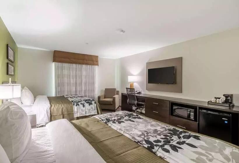ホテル Sleep Inn & Suites College Station Near University